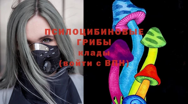 соль ск Нея