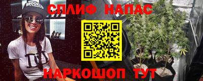тгк Михайловск