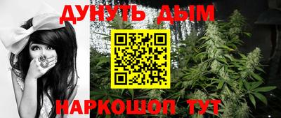 стафф Майкоп