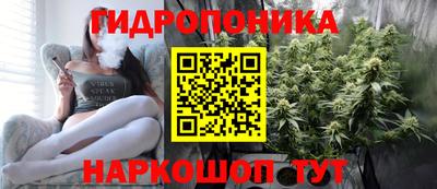 тгк Михайловск
