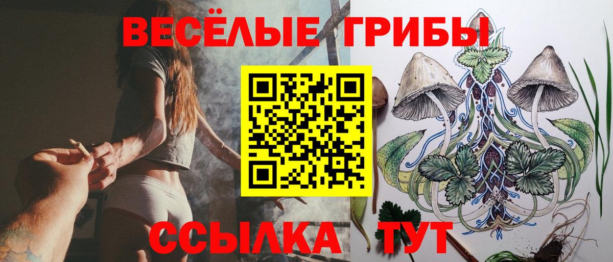 Псилоцибиновые грибы мухоморы  Вход с VPN  Северодвинск 