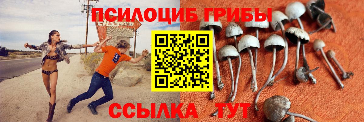 Псилоцибиновые грибы мухоморы Северодвинск